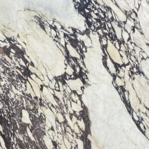 Calacatta Viola Marble