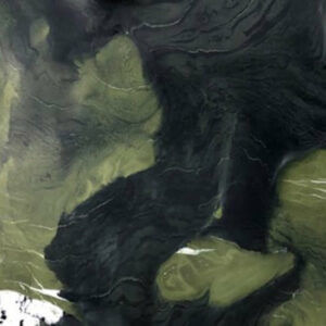 Green Avocado Quartzite