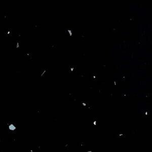 Starlight Black Quartz