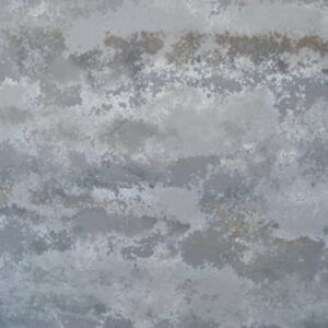 Titanium Leather Quartz