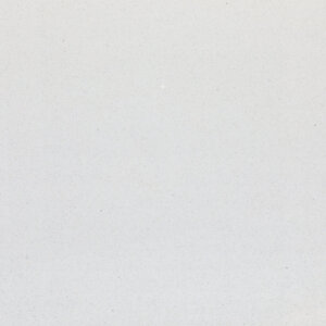 Bianco Galaxy Quartz