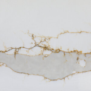 Calacatta Classico Quartz