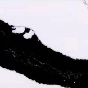 Calacutta Panda Quartz